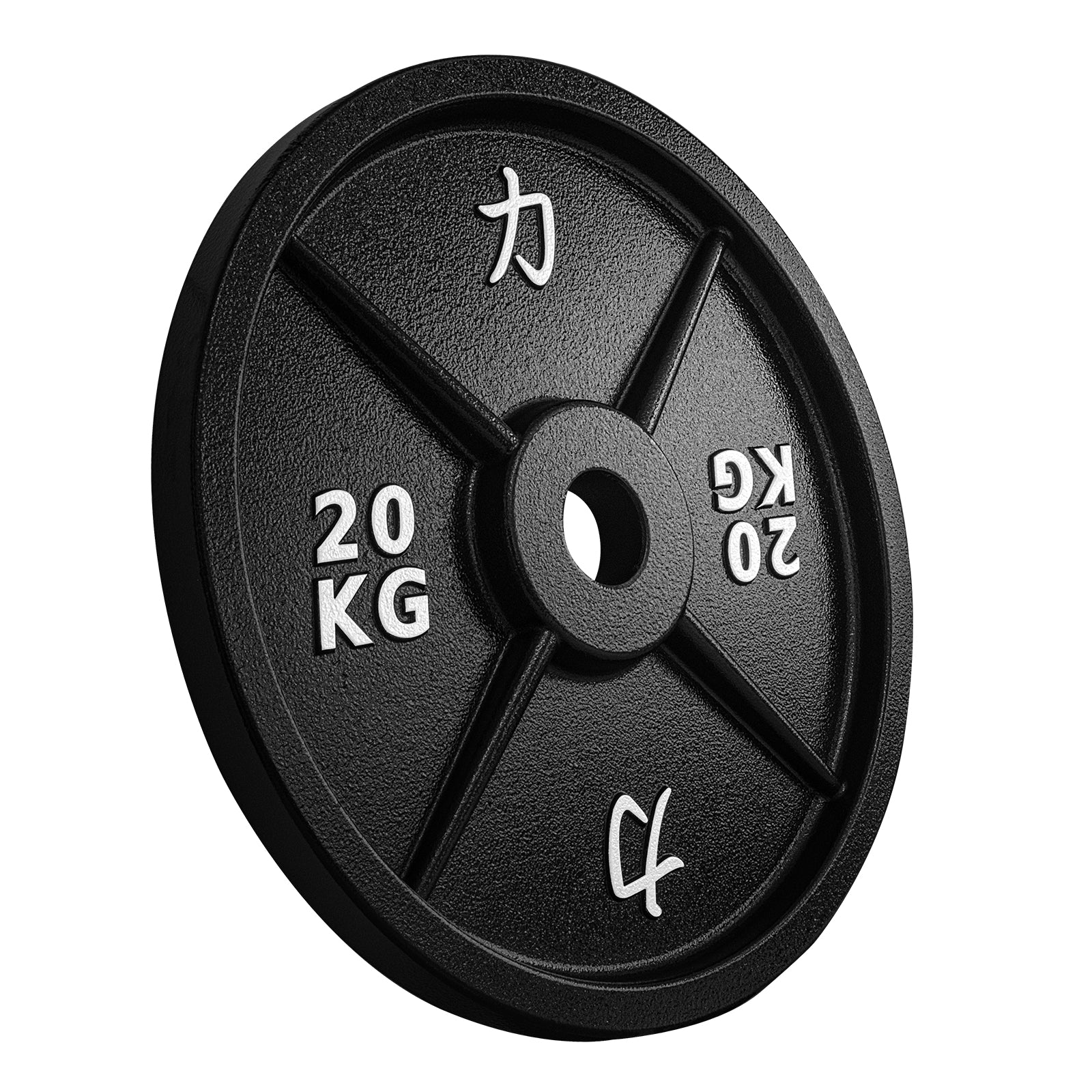 B-WARE Riot Cast Iron Plates - Strength Shop