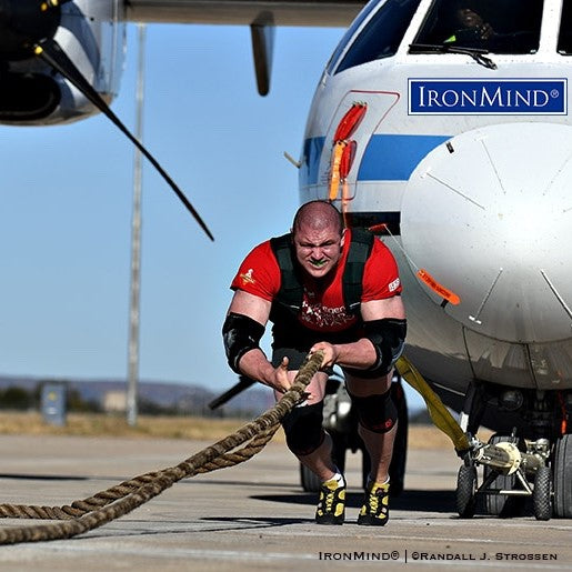 IronMind Draft Horse Pulling Harness - Strength Shop