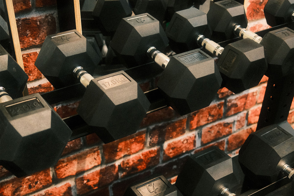Riot Dumbbell Rack - 2-Tier - Strength Shop