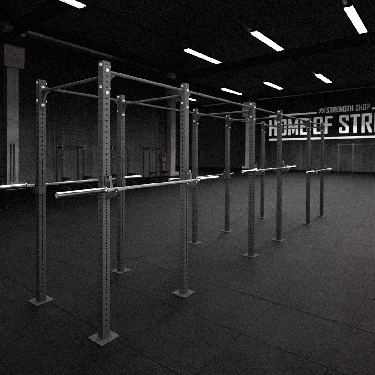 Riot Rig MRR | Free Standing - Strength Shop