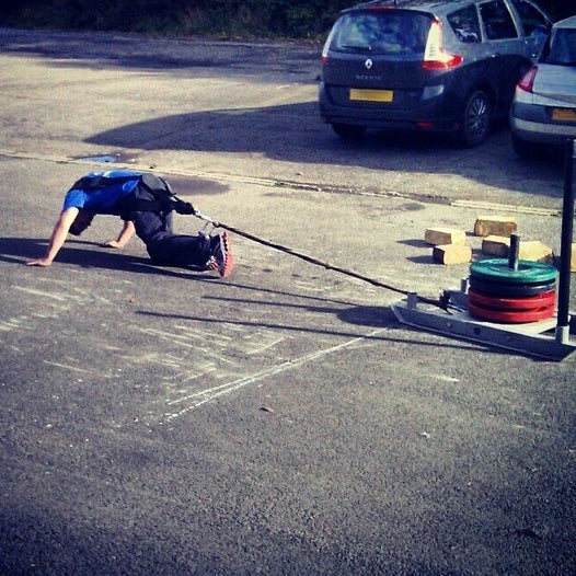 Sled Pulling Harness - Strength Shop