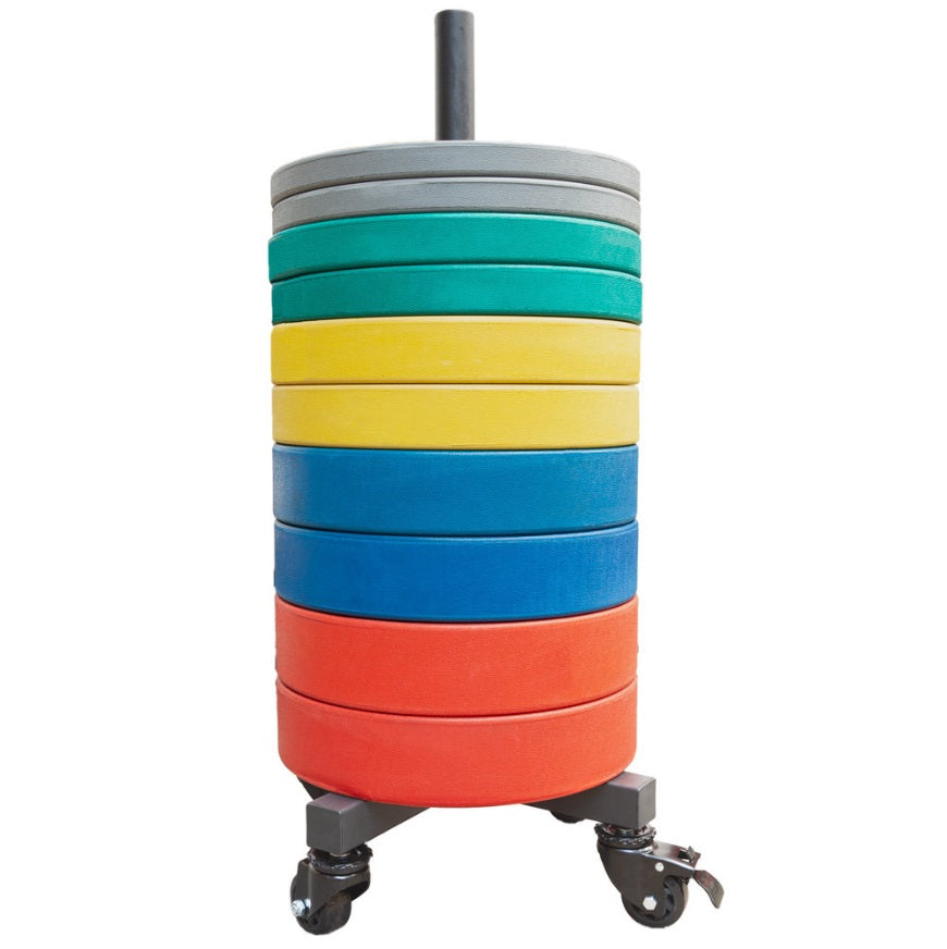 Vertical Plate Storage on Wheels - Strength Shop