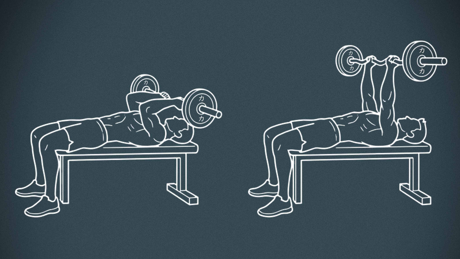 The Complete Skull Crushers Guide: How to Do Them Right and Which Bar to Use