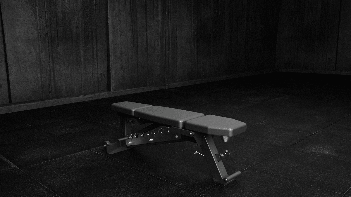 Get More From Your Gym Bench: The Complete FID Bench Exercise and Training Guide