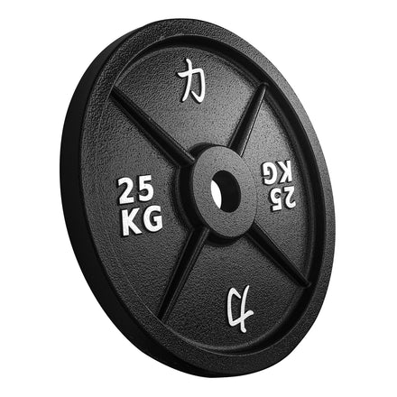 B-WARE Riot Cast Iron Plates - Strength Shop