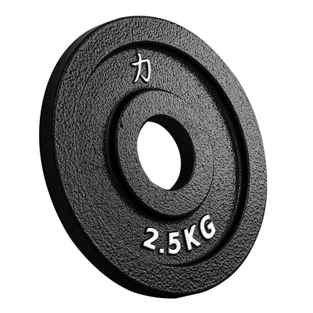 B-WARE Riot Cast Iron Plates - Strength Shop