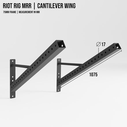 Riot Rig MRR | Cantilever Wing with Monkey Bars - Strength Shop