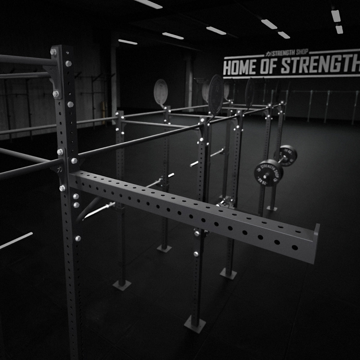 Riot Rig MRR | Outrigger - Strength Shop