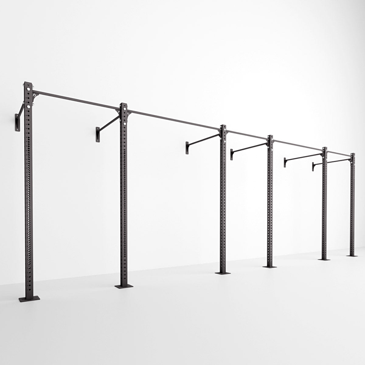 Riot Rig MRR | Wall Mounted – Strength Shop