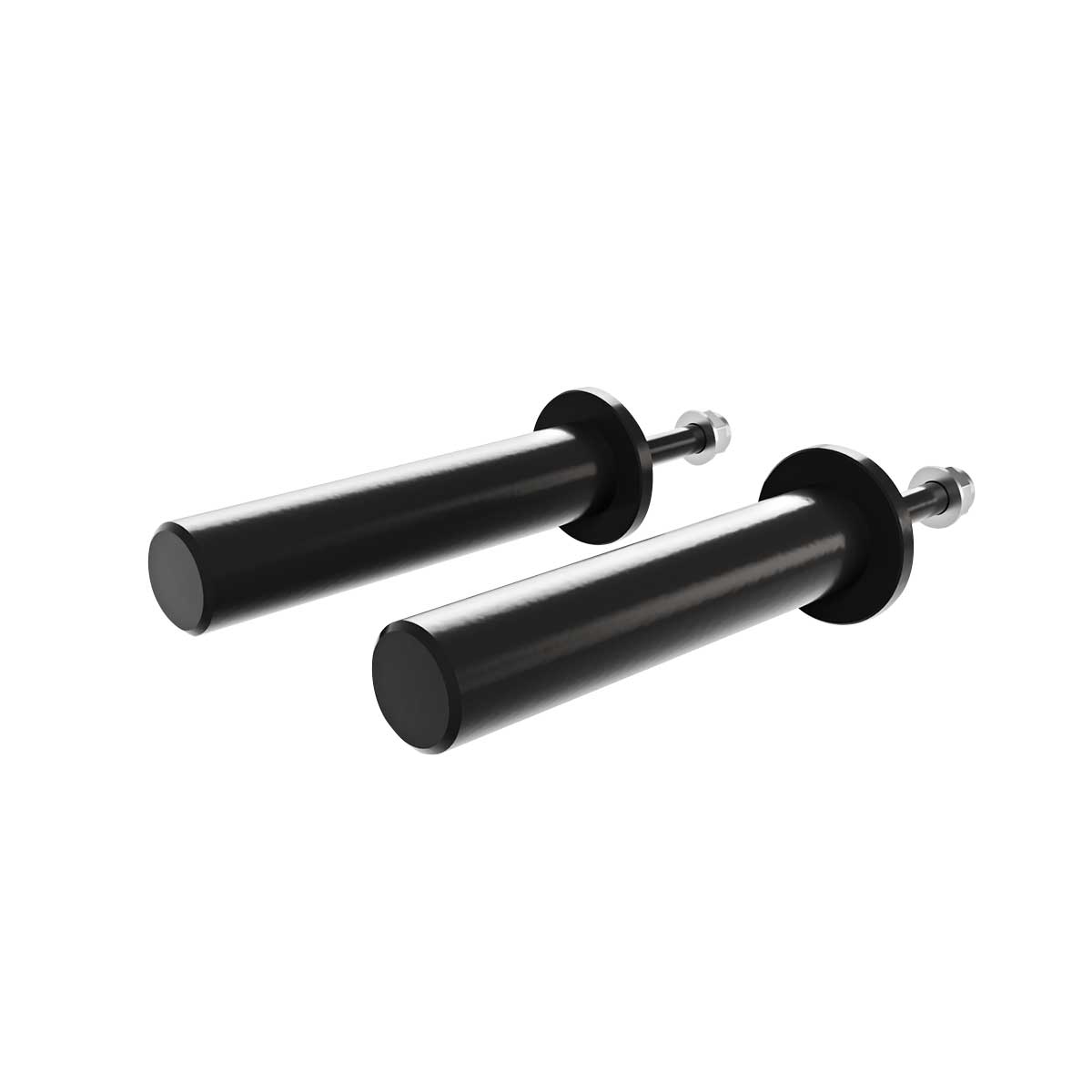 Short Weight Storage Pins, Pair MRR Compatible – Strength Shop