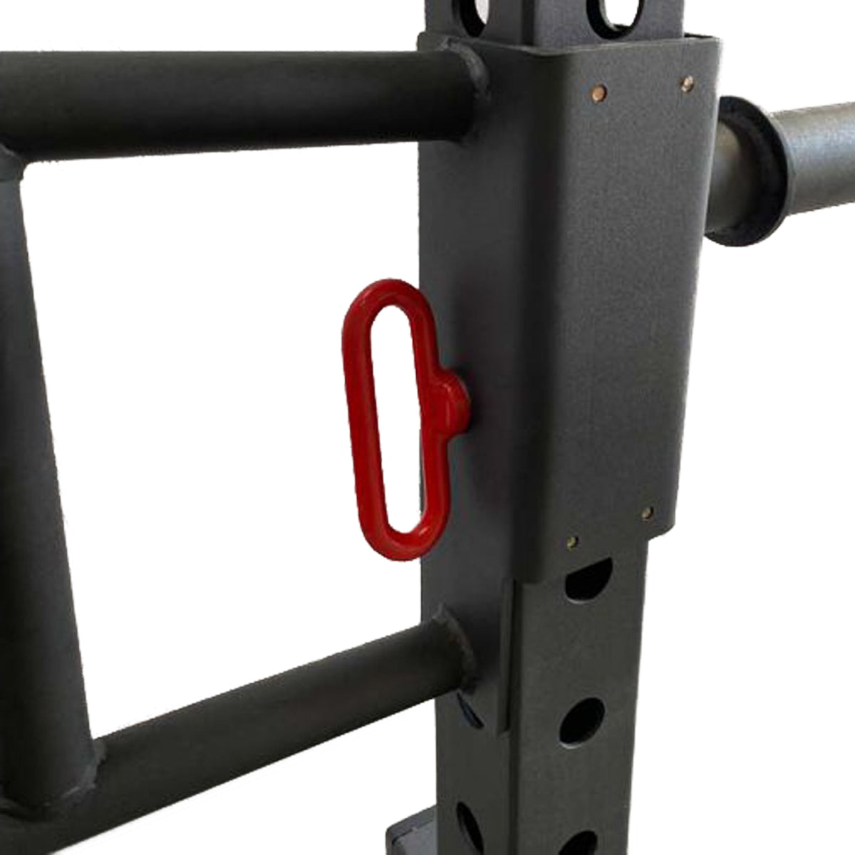 B-WARE Riot Jammer Arms (pair) - 60mm (Code 2/6) - Strength Shop